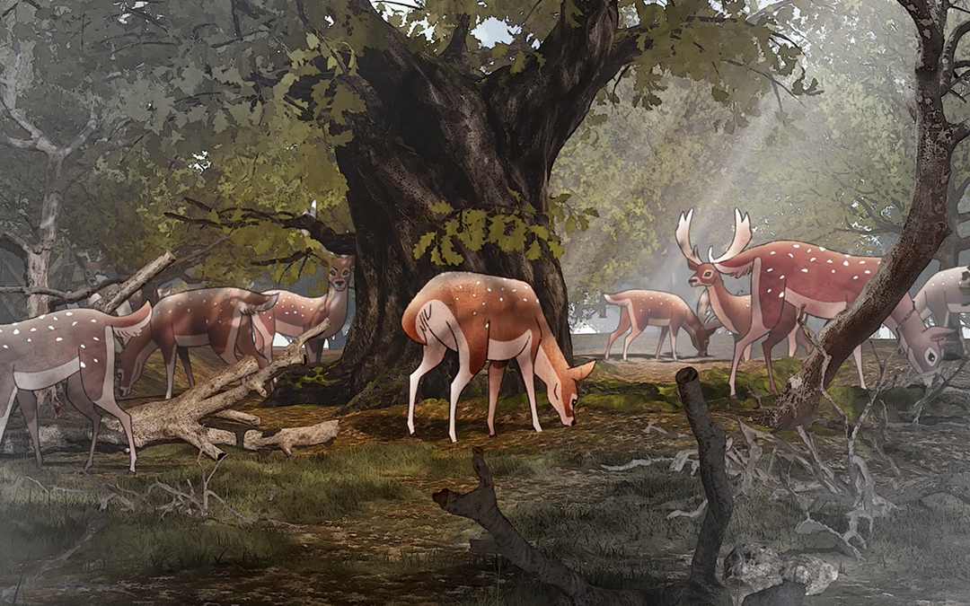 Woodland Trust – Natural England